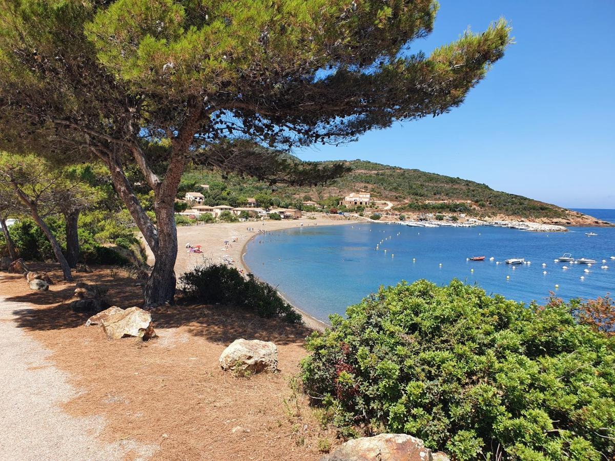 Villa Les Palmiers -Stretta Di I Mandarini 루키아나 외부 사진
